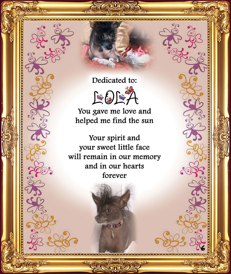 Lola's for Pets Dedication page
