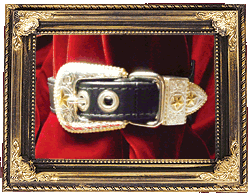 Bubba Buckle