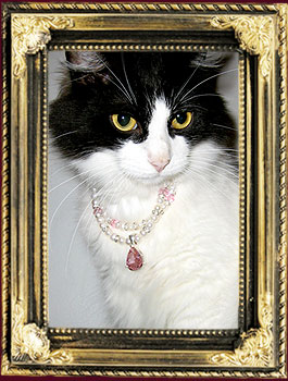 Olive wearing" The Zeeva Pearl"