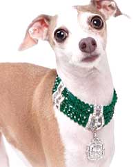 Crystal Chokers CLASP