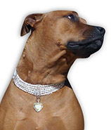 Crystal Chokers CLASP