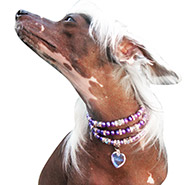 Crystal Chokers CLASP